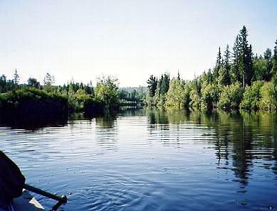 Моя любимая река 