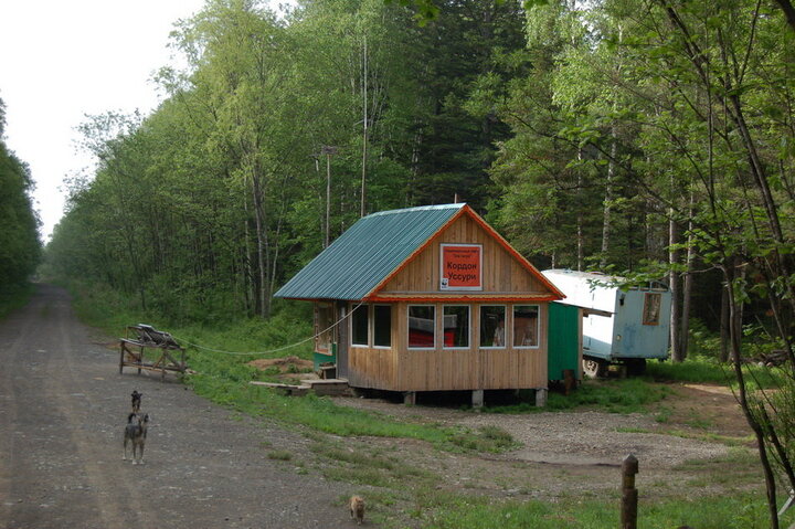 Кардон Уссури