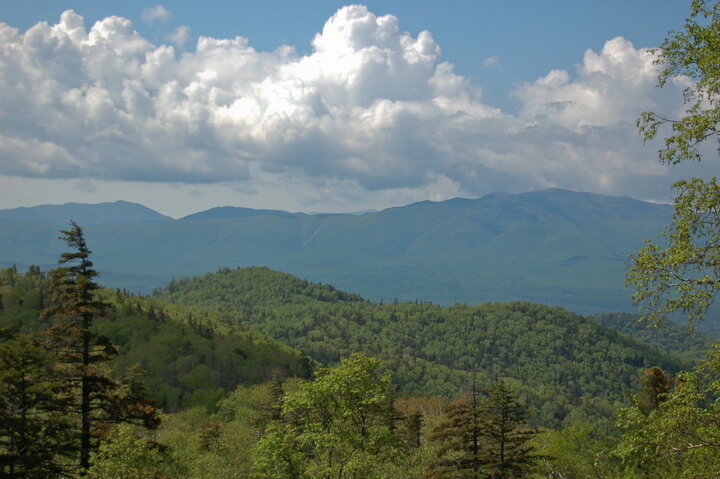 Открылся первый вид