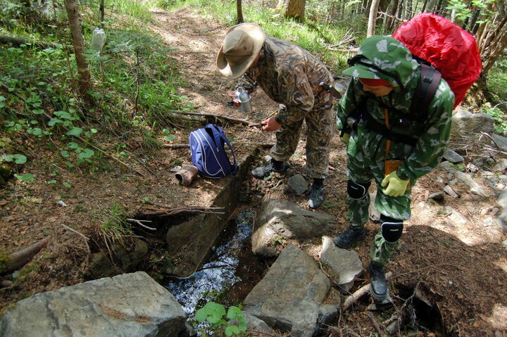 Очередной родник