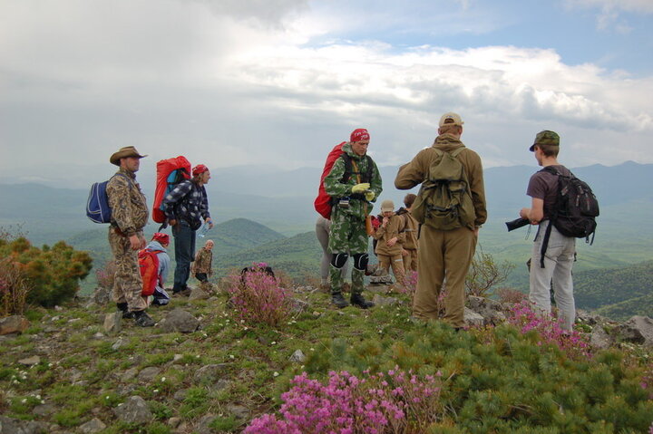 Вышли из леса