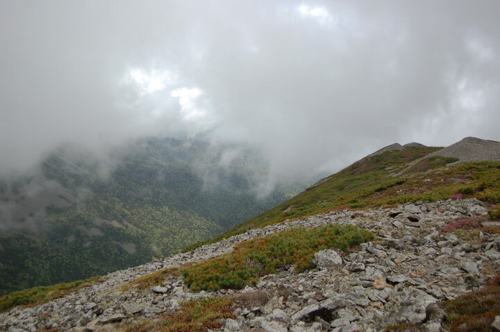 Туман атакует