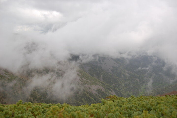 И опять туман