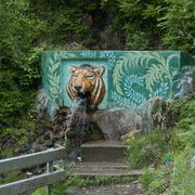 Анучинский тигр