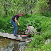 И морковки тоже