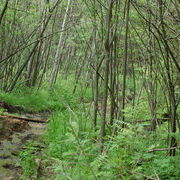 Подъем к стоянке