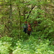 Пошли в гору