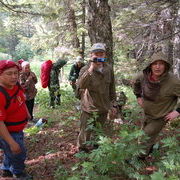 Передохнули