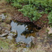 Высокогорный родник