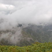 И опять туман