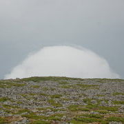 Круглое белое