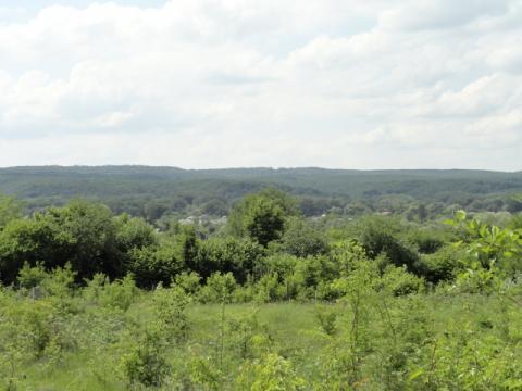Смоленская Краснодарский Край Фото Смоленская Краснодарский Край Фото