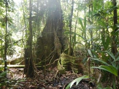 Oздоровительные туры в Перу