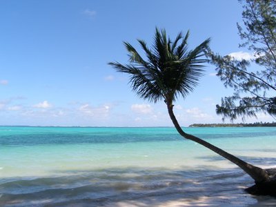 Туры на Сайпан от 19 000  рублей на человека! Рассрочка 0%!