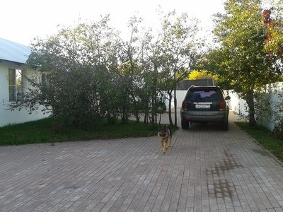 дом  (кафе, база)  в Московской области