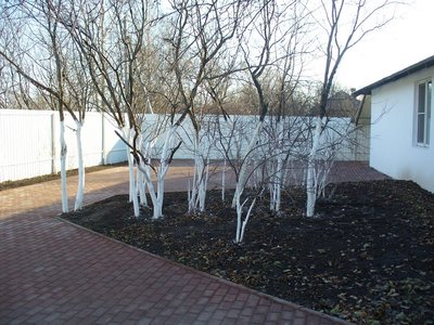 дом  (кафе, база)  в Московской области