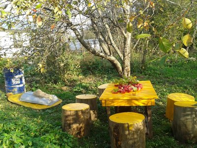 дом  (кафе, база)  в Московской области