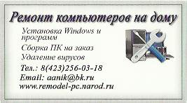 Компьютерная помощь на дому. Удаление вирусов 350-650 р.