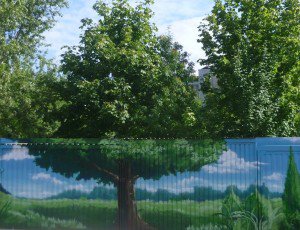 Скидка 30% . Художественная роспись фасадов, заборов, стен, потолков.