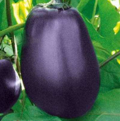 Семена овощей