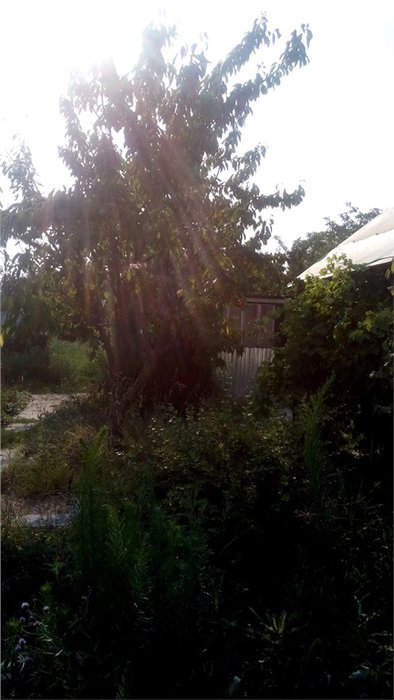 Отличный дом 97 кв.м на 26 сотках 