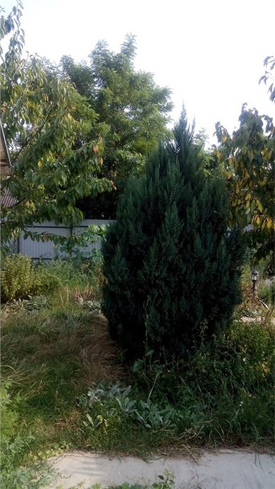 Отличный дом 97 кв.м на 26 сотках 