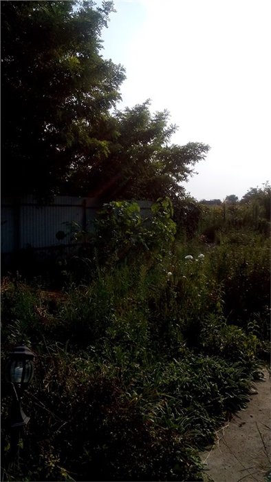 Отличный дом 97 кв.м на 26 сотках 