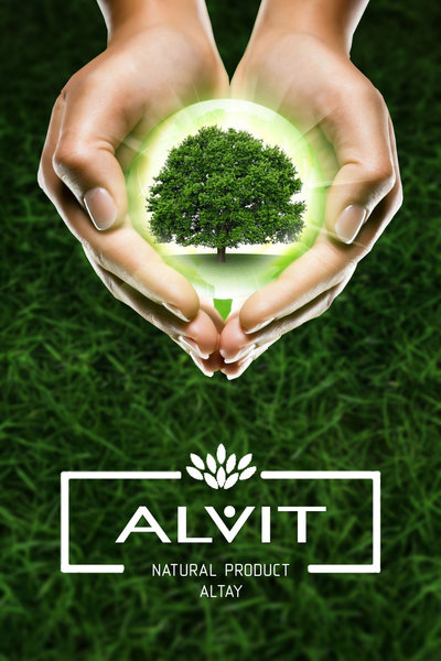 Белый гриб сушеный с Алтая