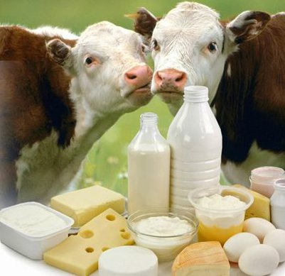 Бесплатная доставка домашней продукции