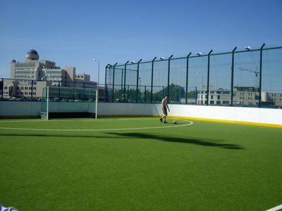 Хоккейная коробка, изготовление и монтаж. По доступной цене и в минимальный срок.