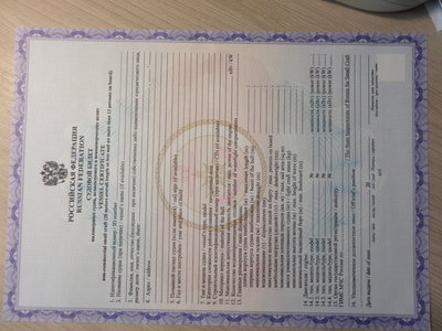 Бланки ПСМ и птс