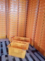 Корзина пластиковая 83л.перфорированная усиленная (725*470*330мм.) Корея.