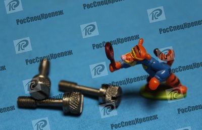 изготовители Винт  по чертежу по ГОСТ 10344-80 Винт с накатанной головкой невыпадающие класса точности В