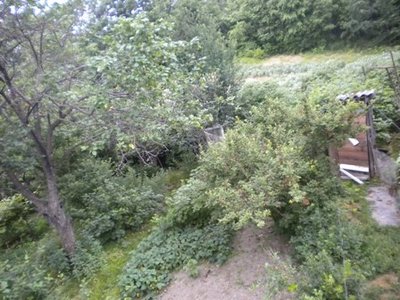 Продам дом с участком в Тавричанке (Владивосток) 