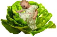 Детская одежда новорожденка пеленки распашенки оптом одежда