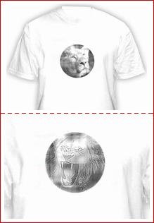 Ищем представителей, оптовиков