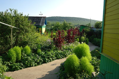 Дом в с. Николаевка Михайловского района