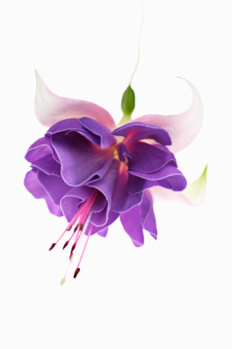 Мыловарам! Кремоварам! Любителям натуральной и качественной продукции!