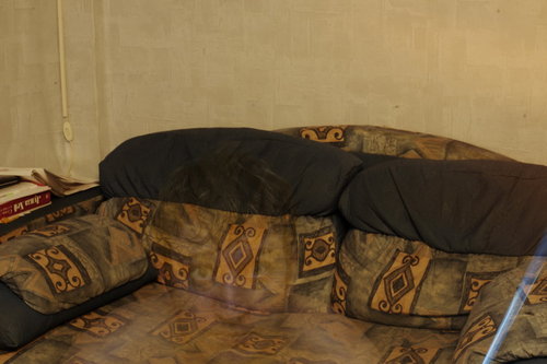 Привидение пялитьсо Привидение пялитьсо