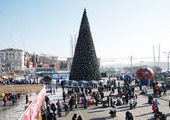 Новая елка для Центральной площади Владивостока будет стоить 7,5 миллионов рублей
