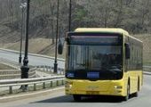 Автобусное движение на остров Русский запустят до Нового года