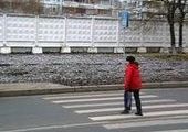 Некоторые владивостокские водители принимают пешеходов за енотов