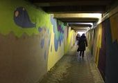 Подземный переход на Молодежной во Владивостоке уже несколько дней остается без света