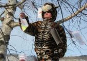 Новогоднее дерево с открытками для тигров установили в Приморье