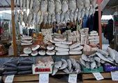Во Владивостоке откроется крупный специализированный рыбный магазин