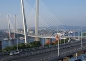 Жители Владивостока просят президента Путина повлиять на запуск автобусов по мостам
