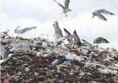 Во Владивостоке 20% мусорных отходов «теряется» по пути на мусороперерабатывающий комплекс