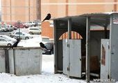 По заданию Игоря Пушкарёва мусор в микрорайоне Снеговая падь вывозят городские службы