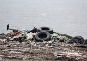 Свыше 5 тонн мусора оставил после себя в Уссурийске китайский овощевод
