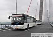 Комиссия разрешила пустить по Золотому мосту во Владивостоке автобусы